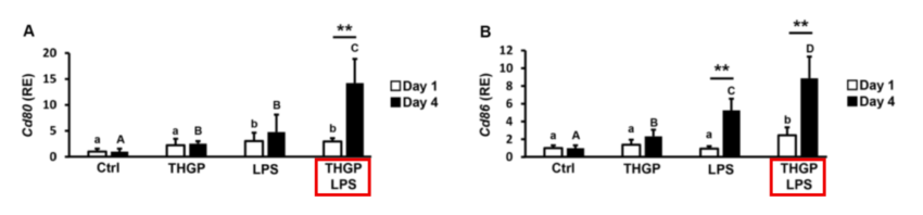 図2-A. CD80の遺伝子の発現量, 図2-B. CD86遺伝子の発現量