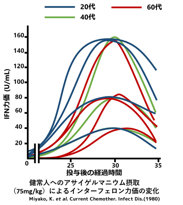 健常人へのアサイゲルマニウム摂取（75mg/kg）によるインターフェロンカ価の変化